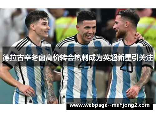 德拉古辛冬窗高价转会热刺成为英超新星引关注